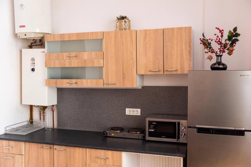 Classy Apartment Unirii Square ブカレスト エクステリア 写真