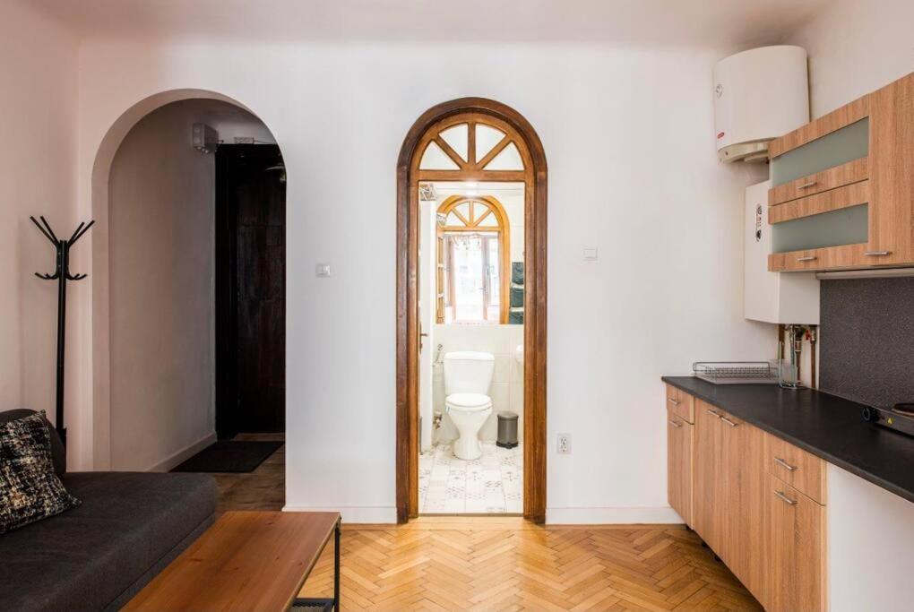Classy Apartment Unirii Square ブカレスト エクステリア 写真