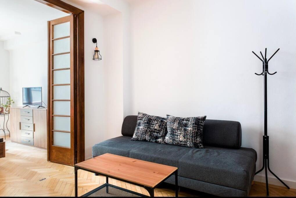 Classy Apartment Unirii Square ブカレスト エクステリア 写真